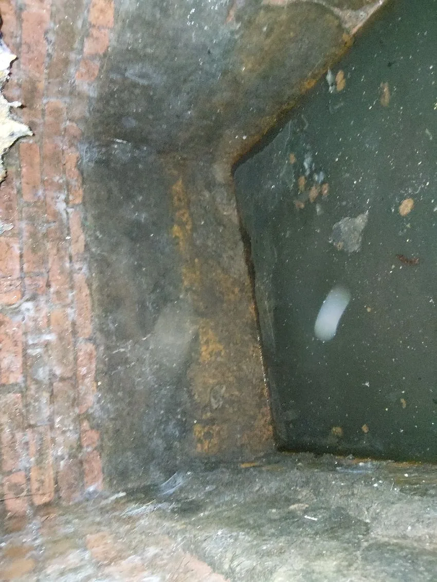 Septic tank condition inspection during homebuyer drainage survey in Cobham