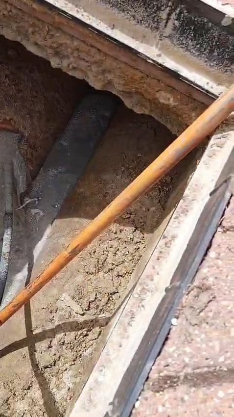 Root Ingress Removed From Drainage System in Ascot