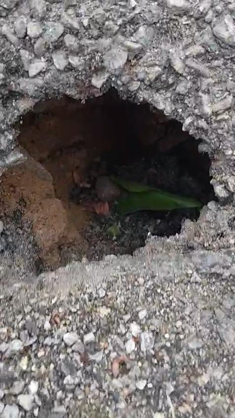 Driveway Sinkhole Investigation in Farnham