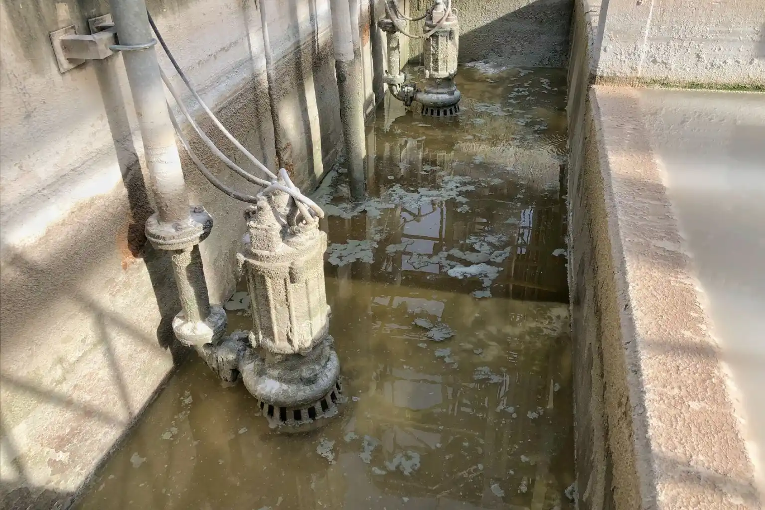 Twin sewage pump system and controls