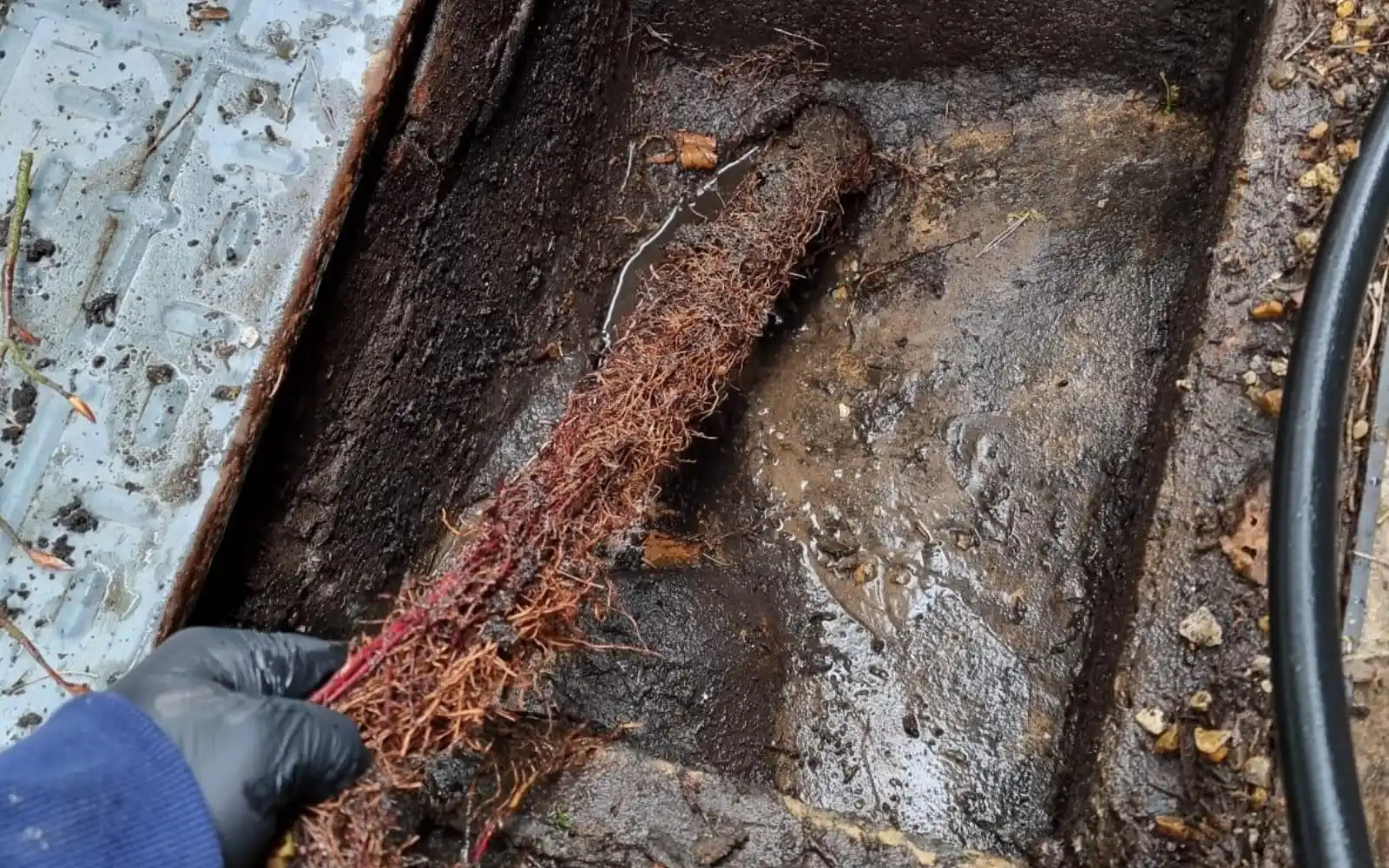 Sewer excavation and installation work