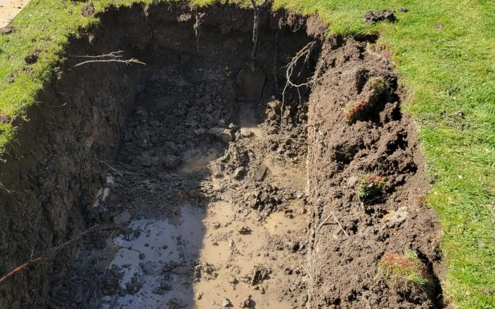 Sewage treatment plant servicing
