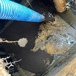 Trusted pump engineers